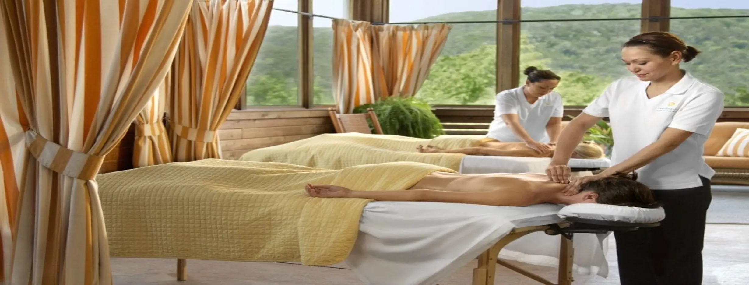 Image for Wellness Services